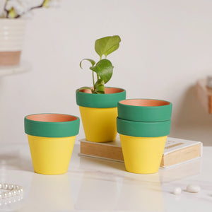 Green Rim Yellow Clay Pot Set Of 4