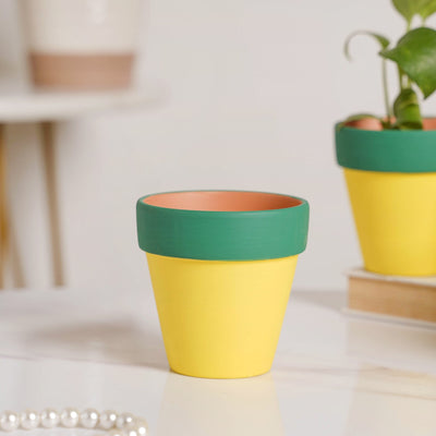 Green Rim Yellow Clay Pot Set Of 4