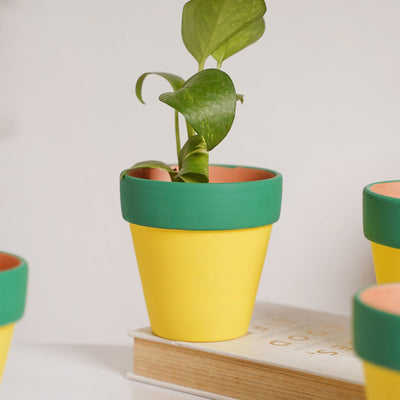 Green Rim Yellow Clay Pot Set Of 4