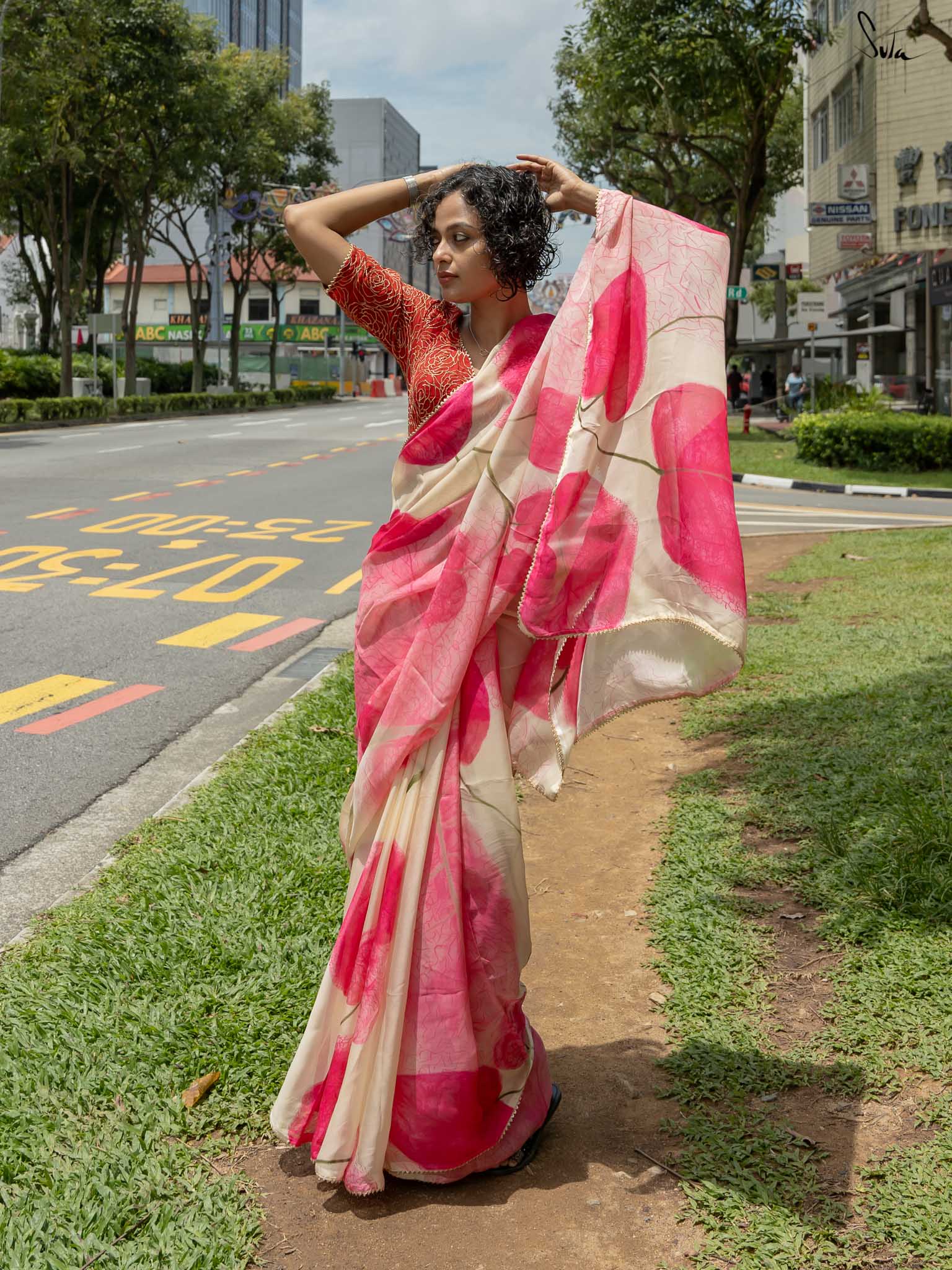 Desi Dreamscape