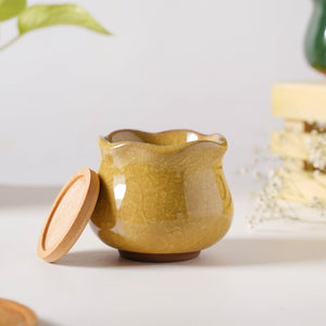 Botanica Ochre Ceramic Planter With Coaster