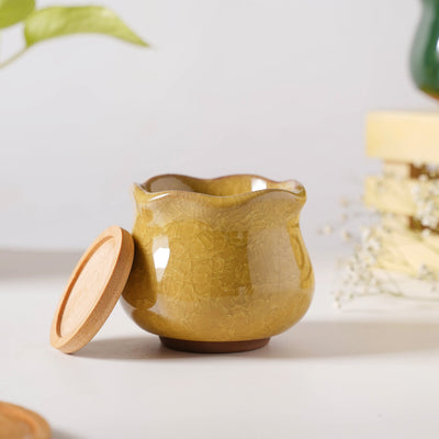 Botanica Ochre Ceramic Planter With Coaster
