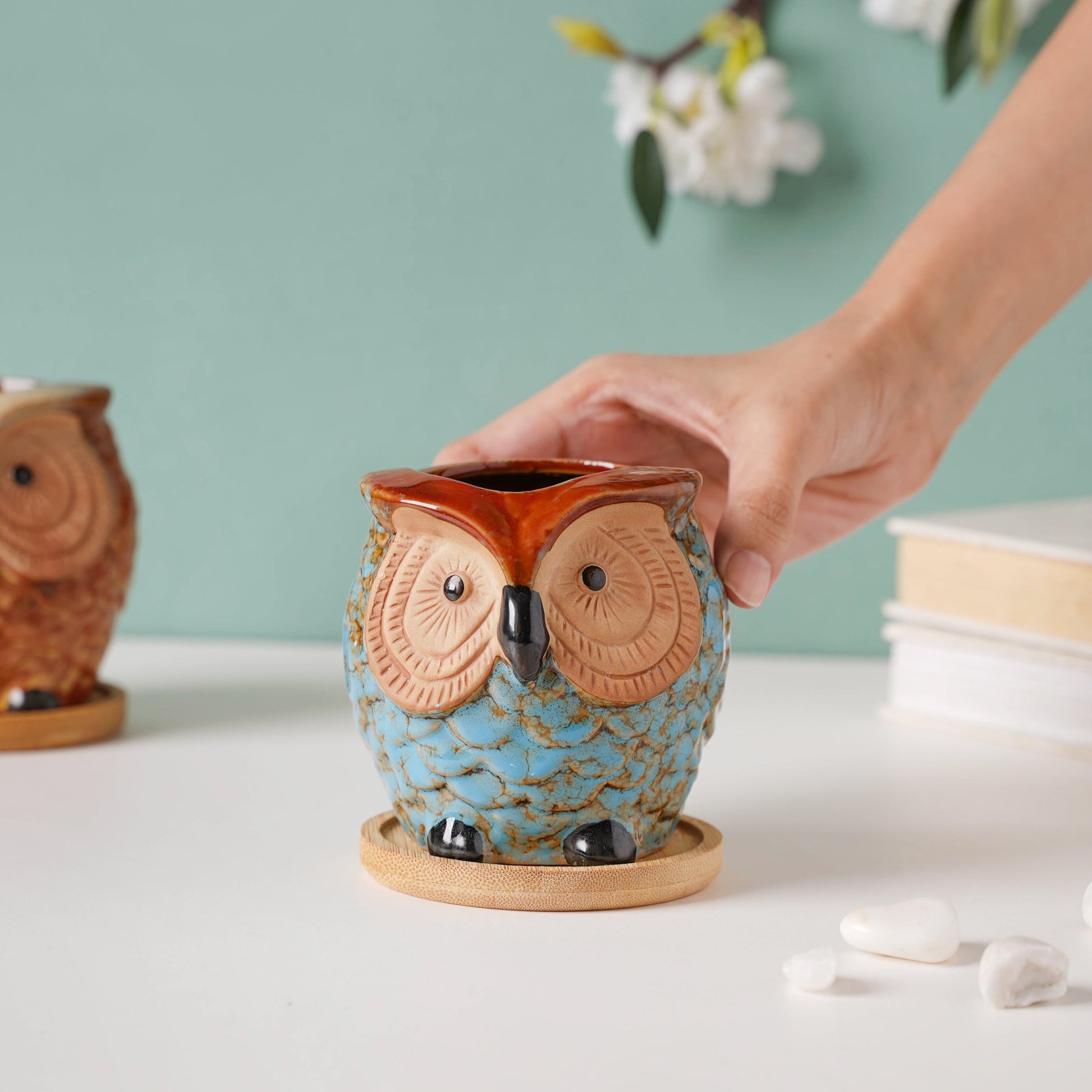 Seacrest Owl Blue Ceramic Planter With Wooden Coaster
