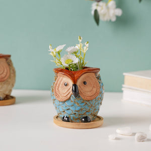 Seacrest Owl Blue Ceramic Planter With Wooden Coaster