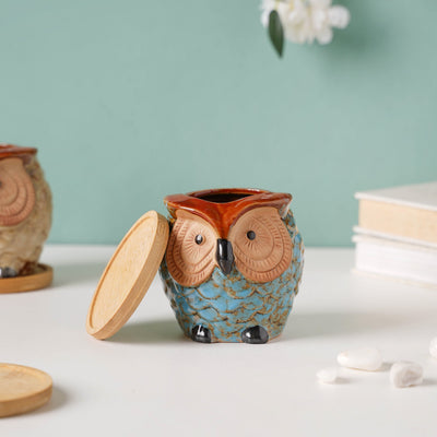 Seacrest Owl Blue Ceramic Planter With Wooden Coaster