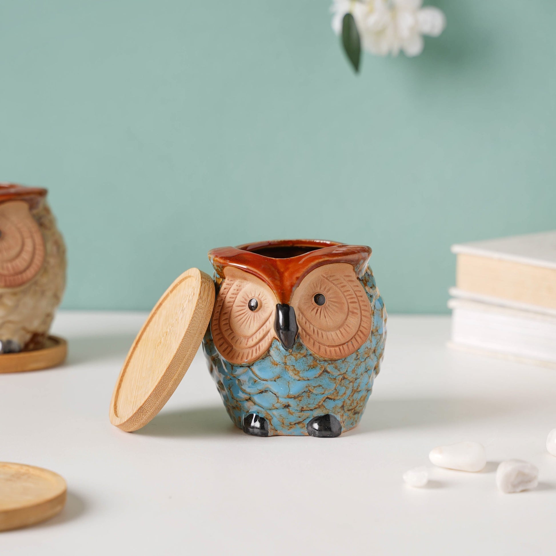 Seacrest Owl Blue Ceramic Planter With Wooden Coaster