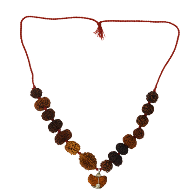 Indrakshi Mala made by 1-14 Mukhi Rudraksha (Length: 36 cm apx.)