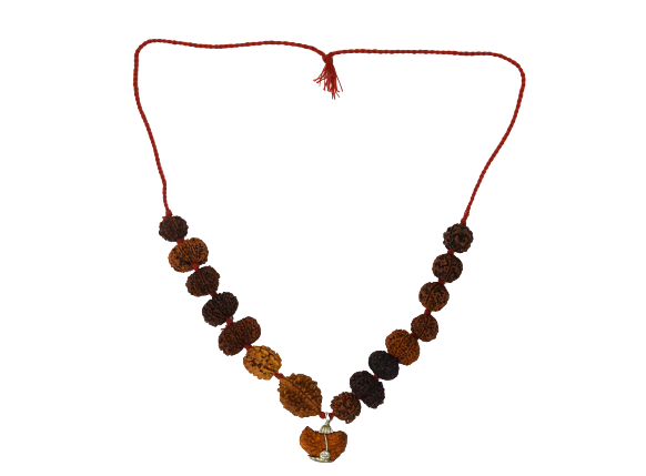 Indrakshi Mala made by 1-14 Mukhi Rudraksha (Length: 36 cm apx.)