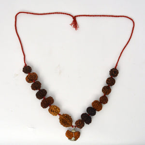 Indrakshi Mala made by 1-14 Mukhi Rudraksha (Length: 36 cm apx.)