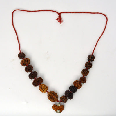Indrakshi Mala made by 1-14 Mukhi Rudraksha (Length: 36 cm apx.)