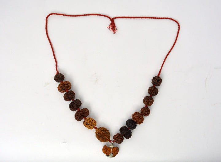 Indrakshi Mala made by 1-14 Mukhi Rudraksha (Length: 36 cm apx.)