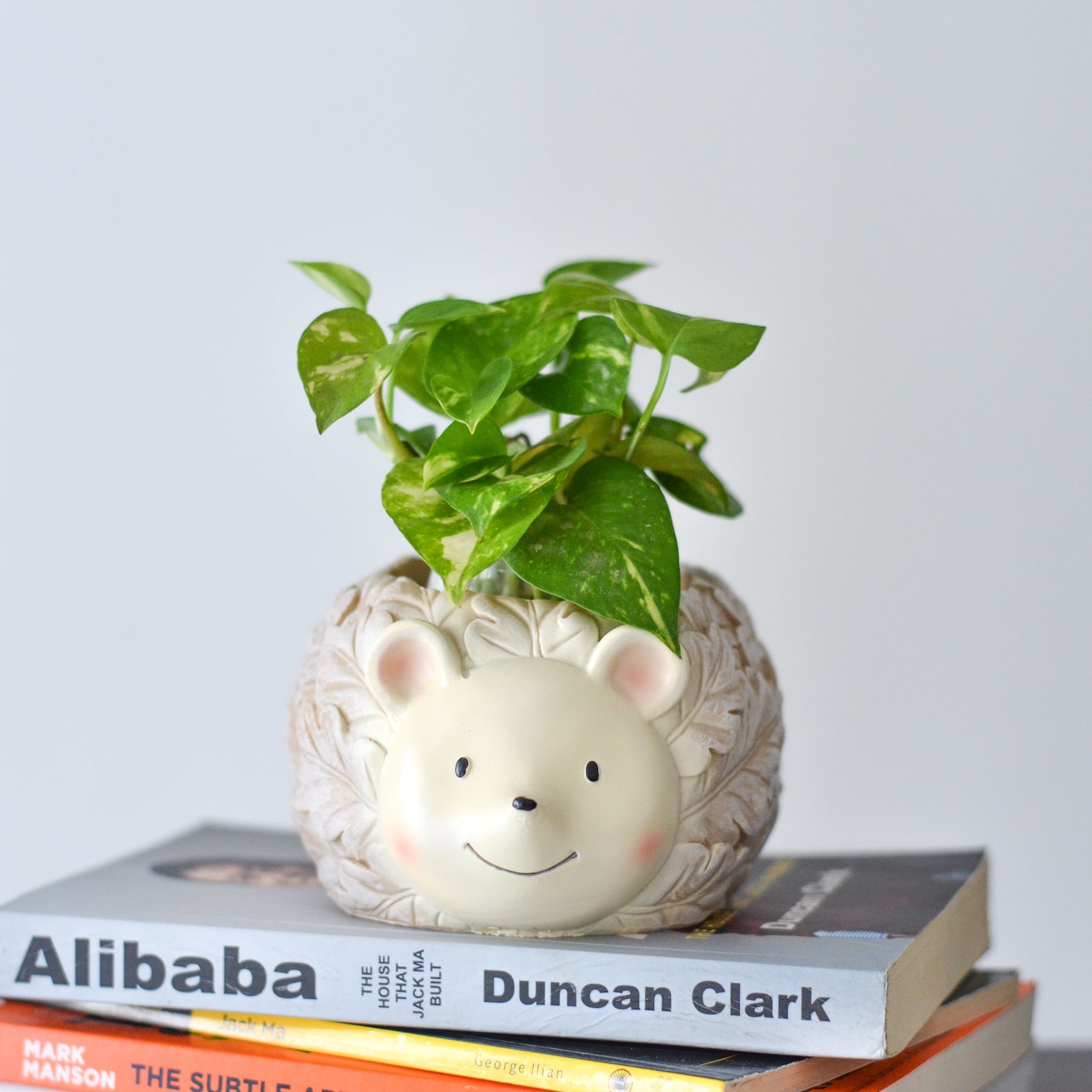 Hedgehog Planter