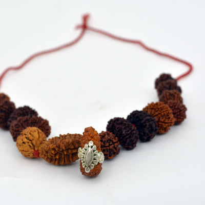 Indrakshi Mala made by 1-14 Mukhi Rudraksha (Length: 36 cm apx.)