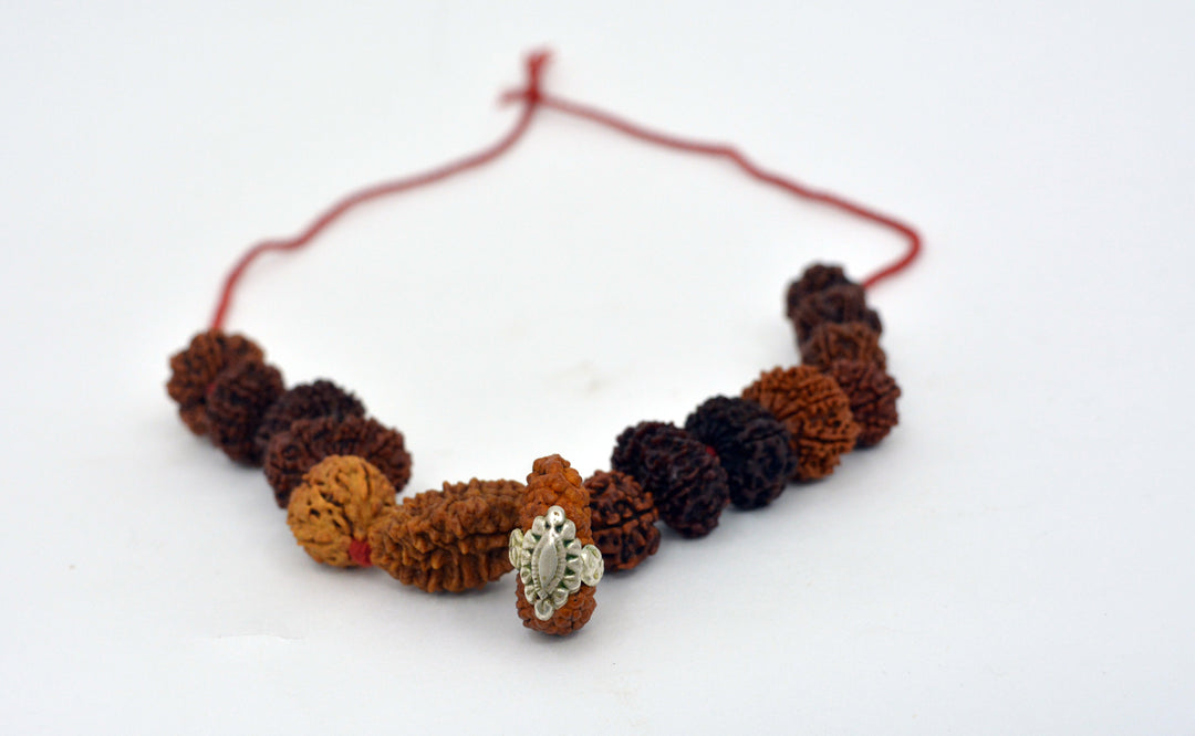 Indrakshi Mala made by 1-14 Mukhi Rudraksha (Length: 36 cm apx.)