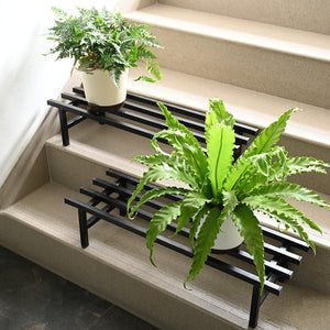 Elevate Plant Stand Set of 2