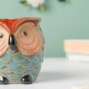 Seacrest Owl Blue Ceramic Planter With Wooden Coaster