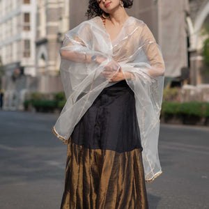 Fizai Chandni