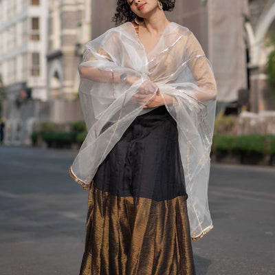Fizai Chandni