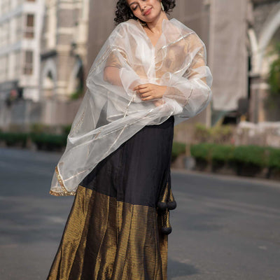 Fizai Chandni