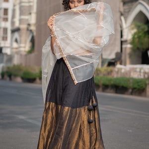 Fizai Chandni