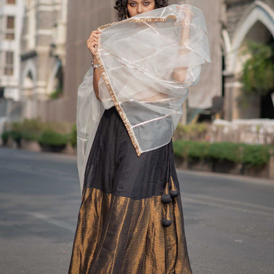 Fizai Chandni