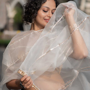 Fizai Chandni