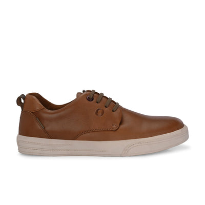 Moonwalk Lace-Up Sneakers by Aspeerio