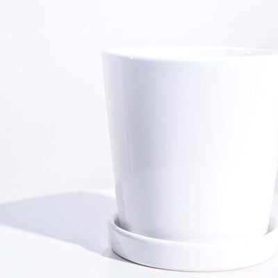 Table Top Ceramic Pot - White