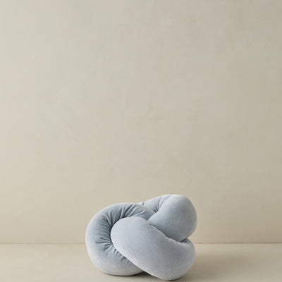 Dewey Velvet Pillow