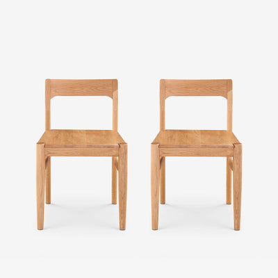 Drummond Dining Chair (Set of 2)