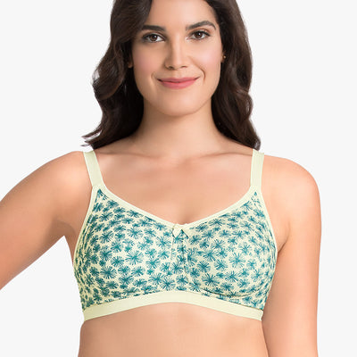 Ultimo Essential Cotton Non-Padded Non-Wired Bra (Pack of 2) - Whtsmke-Whtsmke Pr
