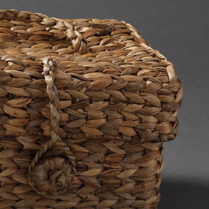 Brown - Handcrafted Organic Water Hyacinth Hooded Basket (9 x 7 in)
