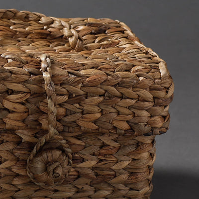 Brown - Handcrafted Organic Water Hyacinth Hooded Basket (9 x 7 in)