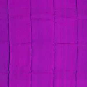 Sky Blue Silk Saree With Stripes & Purple Border-Sky Blue