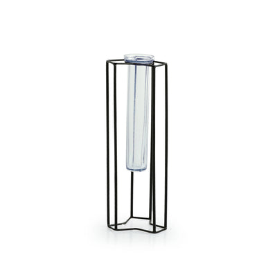 'Modern Glass Garden' Test Tube Table Planter/Vase (10 Inch, Black)