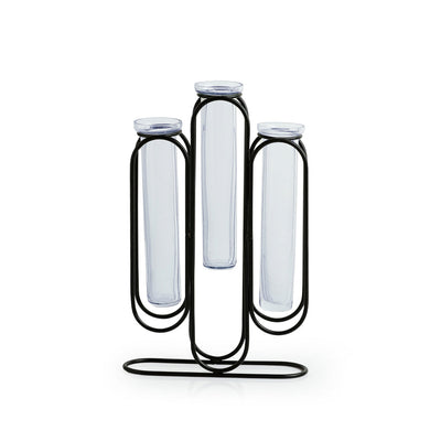 'Modern Glass Garden' Test Tube Table Planter/Vases (10 Inch, Black)