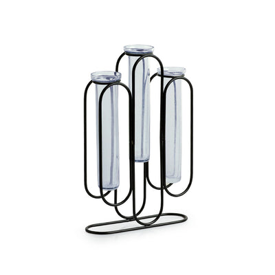 'Modern Glass Garden' Test Tube Table Planter/Vases (10 Inch, Black)