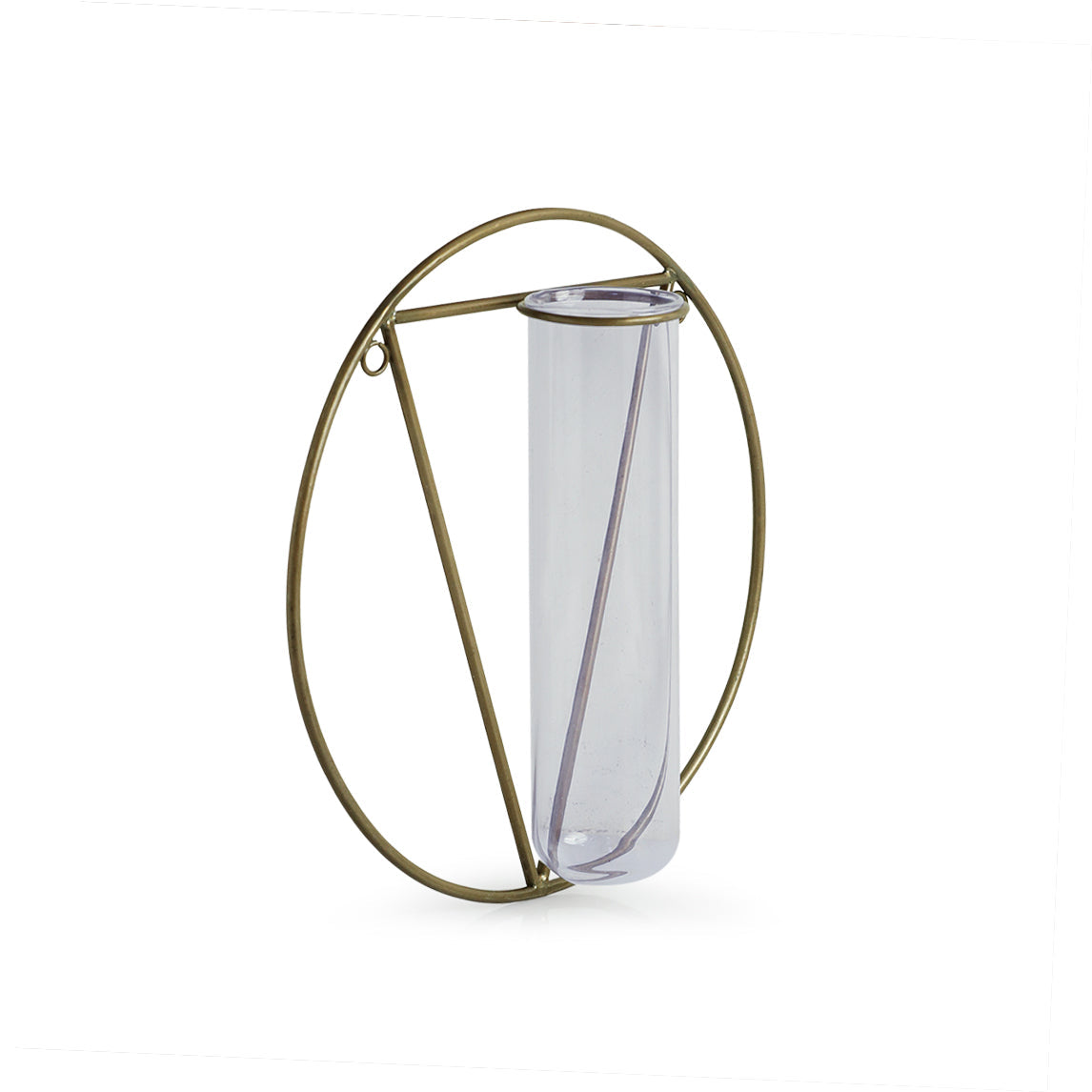 'Modern Glass Garden' Test Tube Wall Planter/Vase (9 Inch, Golden)