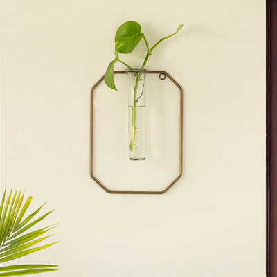 'Glass Garden' Test Tube Wall Planter/Vase (9 Inch, Golden)