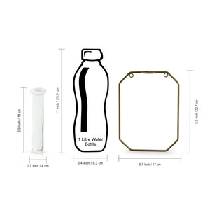 'Glass Garden' Test Tube Wall Planter/Vase (9 Inch, Golden)