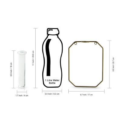 'Glass Garden' Test Tube Wall Planter/Vase (9 Inch, Golden)