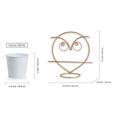 'Angry Owl' Wall Planter Pot In Galvanized Iron (10 Inch, Brass Finish)