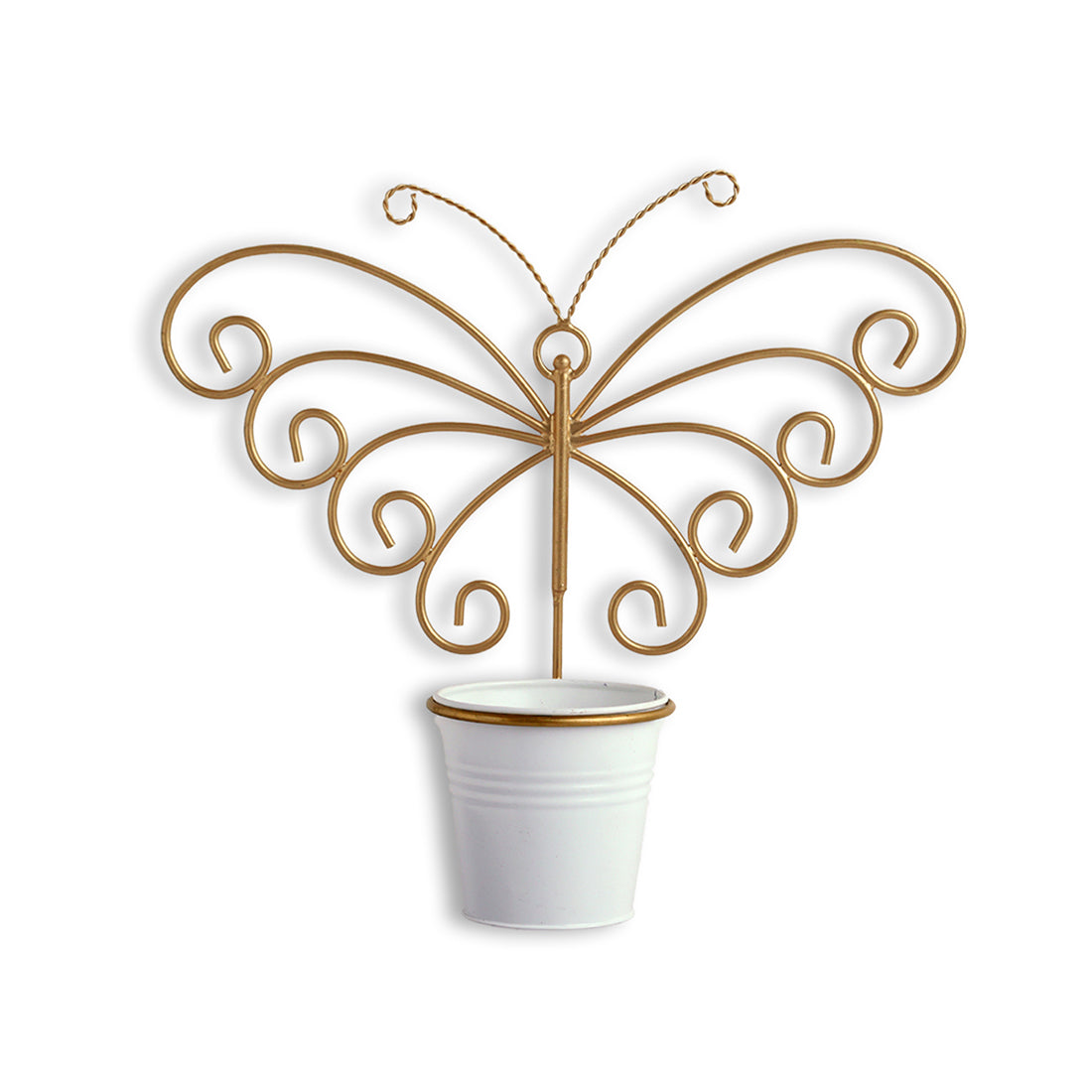 'Svarn Titli' Wall Planter Pot In Galvanized Iron (10 Inch, Brass Finish)