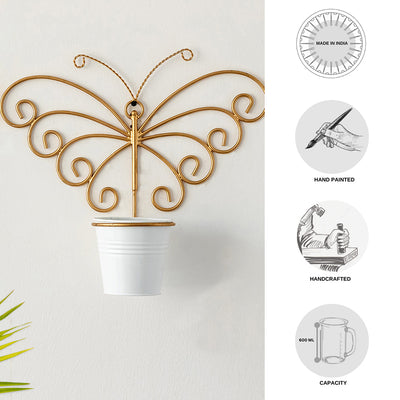 'Svarn Titli' Wall Planter Pot In Galvanized Iron (10 Inch, Brass Finish)