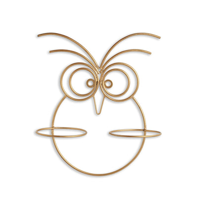'Owl' Wall Planter Pots In Galvanized Iron (12 Inch, Brass Finish)