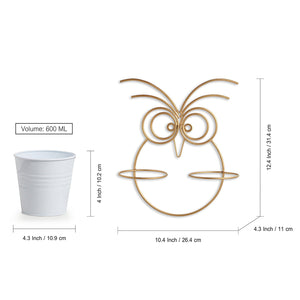 'Owl' Wall Planter Pots In Galvanized Iron (12 Inch, Brass Finish)