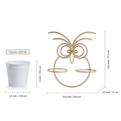 'Owl' Wall Planter Pots In Galvanized Iron (12 Inch, Brass Finish)