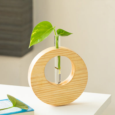'Pine Ring Glass Garden' Test Tube Table Planter/Vase (9 Inch, Light Brown)