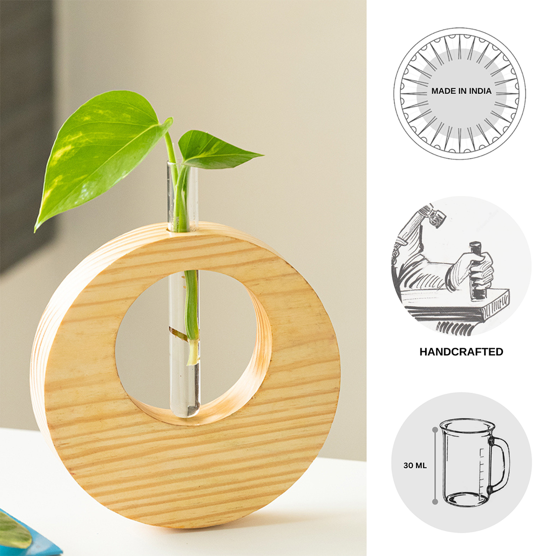 'Pine Ring Glass Garden' Test Tube Table Planter/Vase (9 Inch, Light Brown)