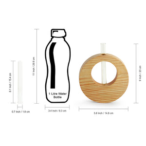 'Pine Ring Glass Garden' Test Tube Table Planter/Vase (9 Inch, Light Brown)